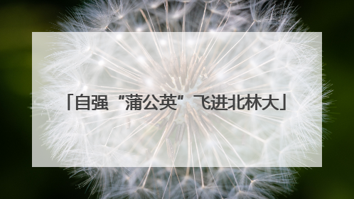 自强“蒲公英”飞进北林大